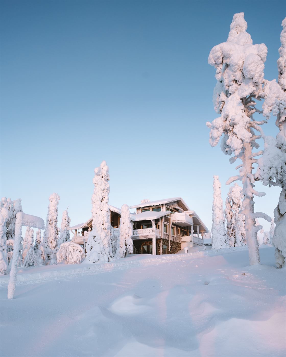 Timber chalet glowing at dusk, surrounded by snow-laden pines in Lapland